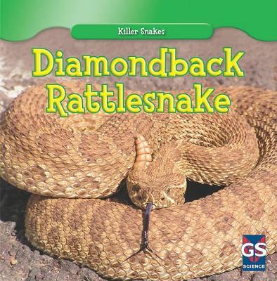 Diamondback Rattlesnake by Autumn Leigh