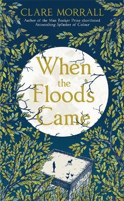 When the Floods Came book