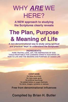 Why are we Here?: The Plan, Purpose & Meaning of Life by Brian H Butler
