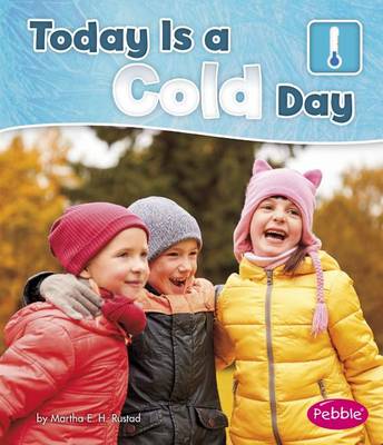 Today Is a Cold Day book