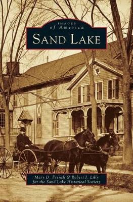 Sand Lake book