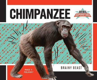 Chimpanzee book