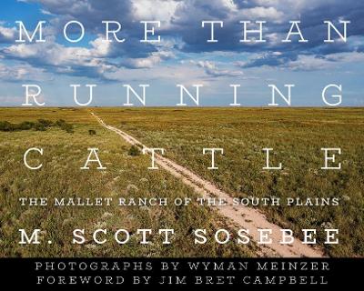 More Than Running Cattle: The Mallet Ranch of the South Plains book