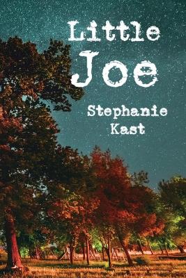 Little Joe book