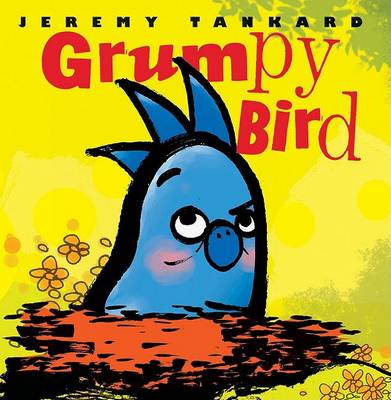 Grumpy Bird book