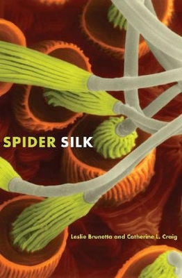 Spider Silk by Leslie Brunetta