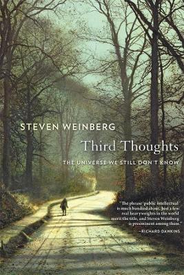 Third Thoughts: The Universe We Still Don’t Know by Steven Weinberg