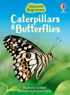 Caterpillars And Butterflies book