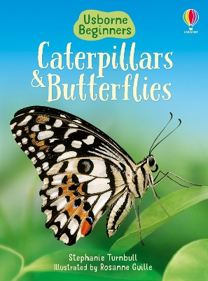 Caterpillars And Butterflies book