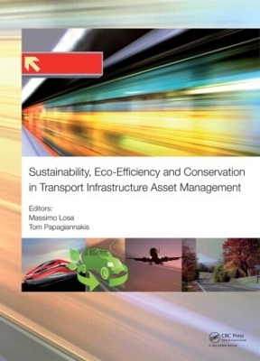 Sustainability, Eco-efficiency, and Conservation in Transportation Infrastructure Asset Management book