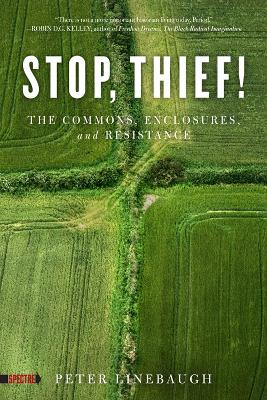 Stop, Thief! book