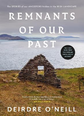 Remnants of Our Past: The STORIES of our ANCESTORS hidden in the IRISH LANDSCAPE book
