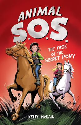 Case of the Secret Pony book