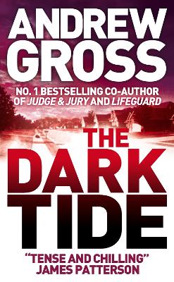 The Dark Tide by Andrew Gross