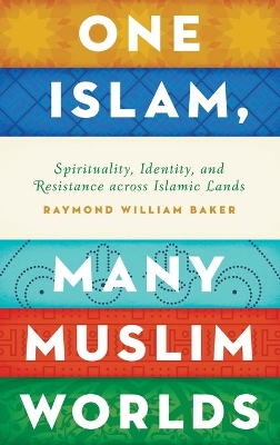 One Islam, Many Muslim Worlds book