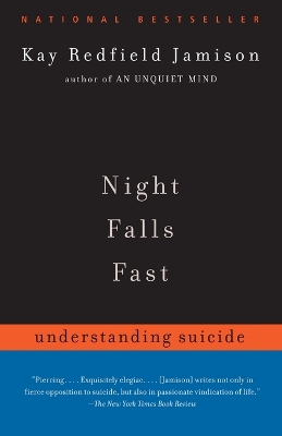 Night Falls Fast book