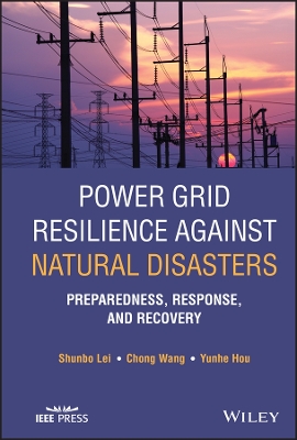 Power Grid Resilience against Natural Disasters: Preparedness, Response, and Recovery book