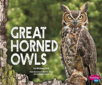 Great Horned Owls book