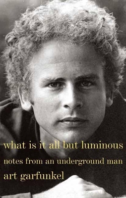 What Is It All But Luminous by Art Garfunkel