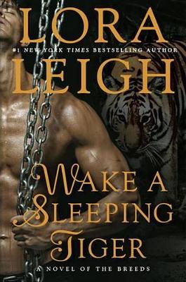 Wake A Sleeping Tiger book