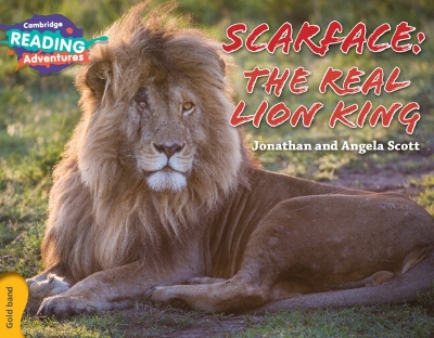 Scarface: The Real Lion King Gold Band book