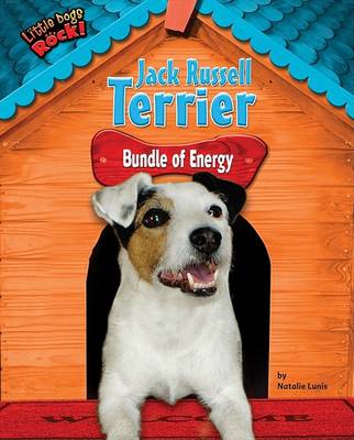 Jack Russell Terrier book