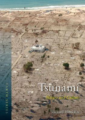 Tsunami book