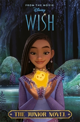 Disney Wish: The Junior Novel book