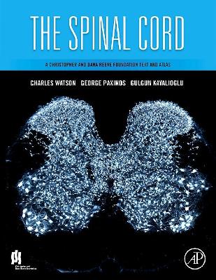 Spinal Cord book