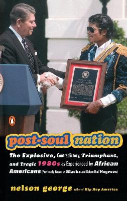 Post-soul Nation book