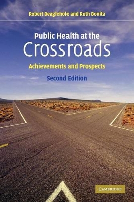 Public Health at the Crossroads book