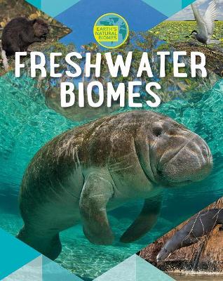 Freshwater Biomes by Louise A Spilsbury