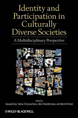 Identity and Participation in Culturally Diverse Societies book