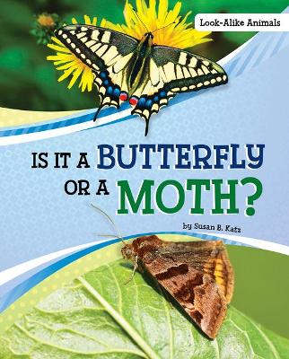 Is it a Butterfly or a Moth by Susan B. Katz