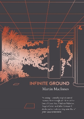 Infinite Ground book