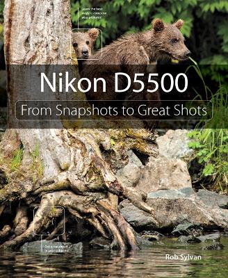 Nikon D5500 book