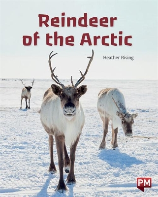 Reindeer of the Arctic book