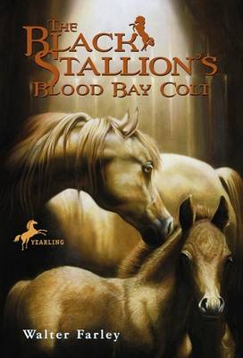 Black Stallion's Blood Bay Colt book