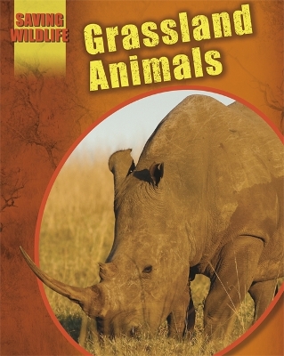 Saving Wildlife: Grassland Animals by Sonya Newland