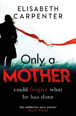 Only a Mother: A gripping psychological thriller with a shocking twist book