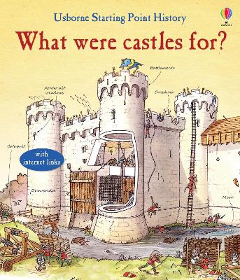 What Were Castles for? book