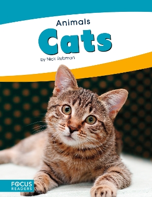 Cats book
