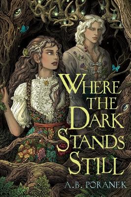 Where the Dark Stands Still book