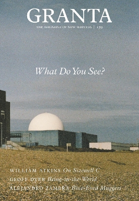 Granta 159: What Do You See? book