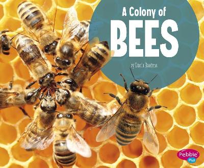 A Colony of Bees book
