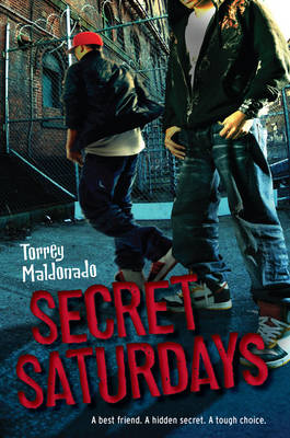 Secret Saturdays book