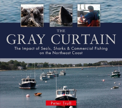 Gray Curtain book