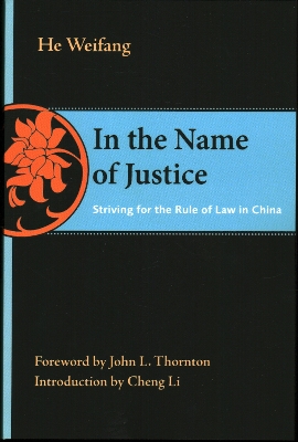 In the Name of Justice book