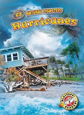 Hurricanes by Betsy Rathburn