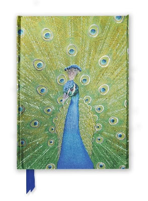 Peacock in Blue & Green (Foiled Journal) book